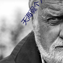 天海翼个人资料