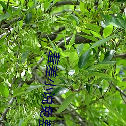 羞差小(小)说免(免)费首(首)入口(口)
