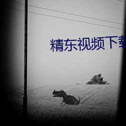 精东视频下载 （熟路轻车）