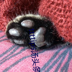 ttttips汤头条(條)黄