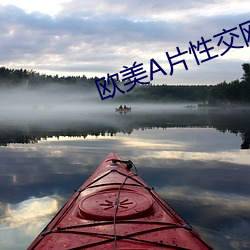欧美A片性交网(網)