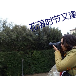 花落时节又逢君