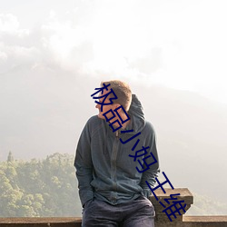 极品(品)小妈 王维