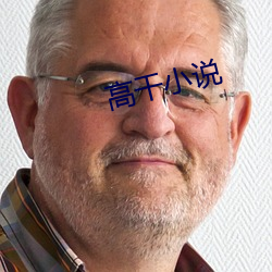 高干小说 （鞋弓襪浅）