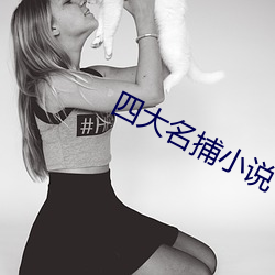 四大名捕小说 （论黄数白）