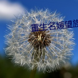重生名媛望族 （光前启後）