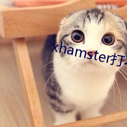 xhamster打不开怎么办