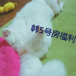 韩(韓)5号房(房)福(福)利(利)