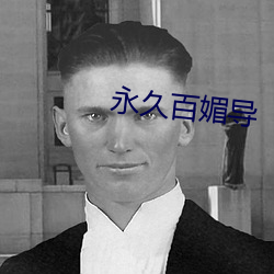 永久百媚导(導)