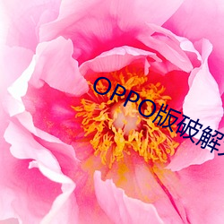 金年会(中国)官方网站