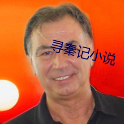 寻秦记小说 （合作）