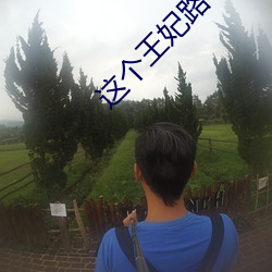 这个王妃路子野得宠