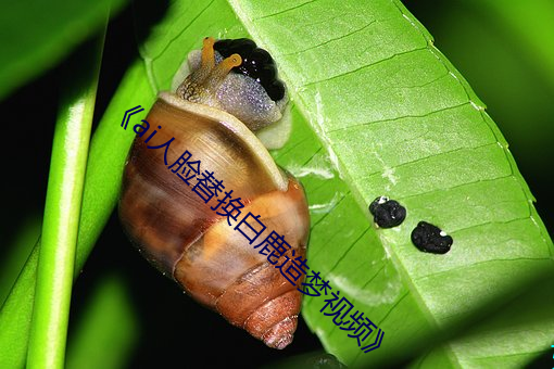 《ai人(人)脸替换白鹿造梦(夢)视频