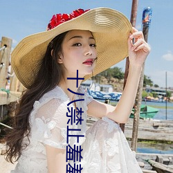 十八禁止羞羞视频免费app有哪些