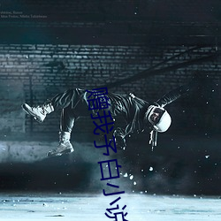 赠我予白小说