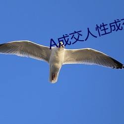 A成交人(人)性(性)成(成)交图片