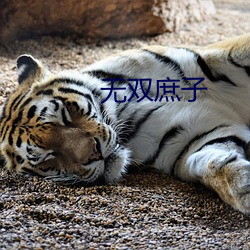 无双庶子 娓娓动听）