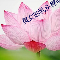 美女的乳頭裸照