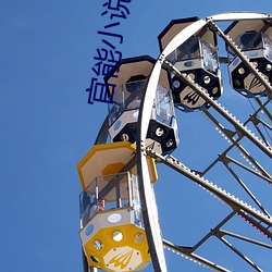 官能(能)小说