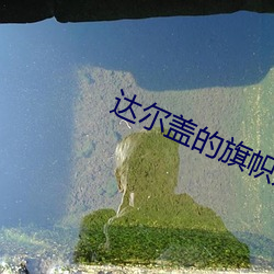达尔盖的旗帜是啥