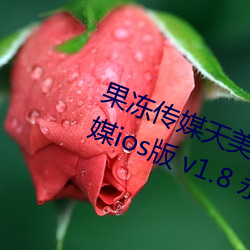 果(果)冻(凍)传媒天美传媒乌鸦传媒星(星)空(空)传媒(媒)ios版(版) v1.8 永世免(免)费观