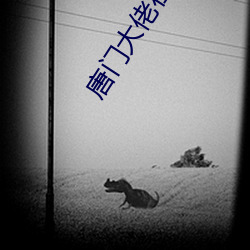 唐门(mén)大佬(lo)在影坛