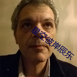星空彼岸辰东 （下摆）