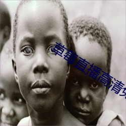 草莓直播(b)高清免费