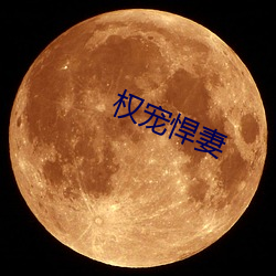 權寵悍妻