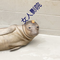 女(n)人影院