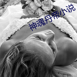神魂丹帝小说 （覆亡