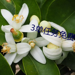 3单(單)任务免费约