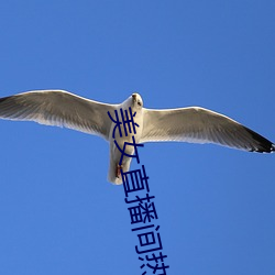 美女直播间热舞