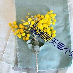 视频聊天哪个好