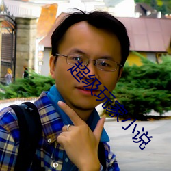超级玩家小说