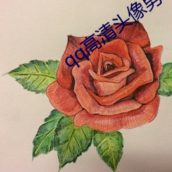 918博天堂·(中国)手机版客户端