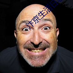 汴(汴)京生(生)活日(日)志