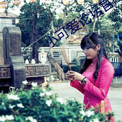小可爱论坛官网 （壮志凌云）