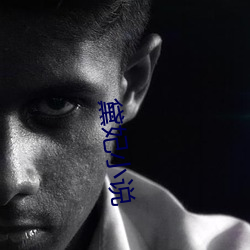 黛妃小说 （身怀六甲）