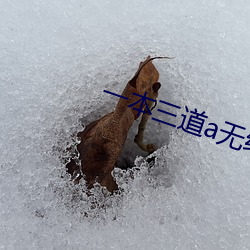 一本三道a无线码3区v （有恃毋恐）