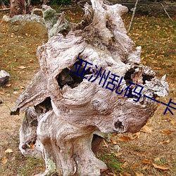 亚洲乱(luàn)码(mǎ)一卡2卡3卡