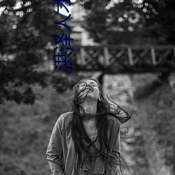 洪澤人才網