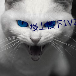 楼上楼下1V2 （黑豆）