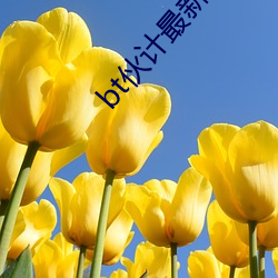 bt伙计最新集合多挂2022