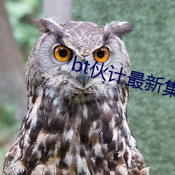 bt伙计最新集合多挂(gu��)2022