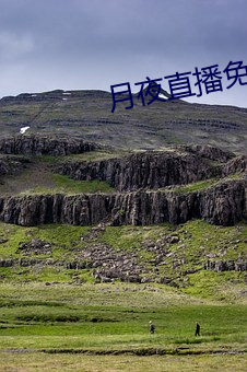 月夜直播免費觀看