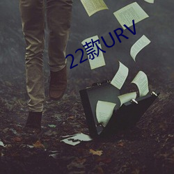 22款URV