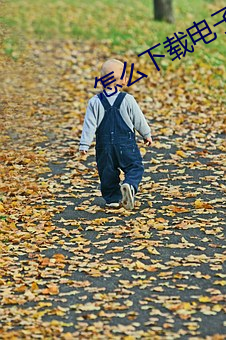 怎么下载电子书