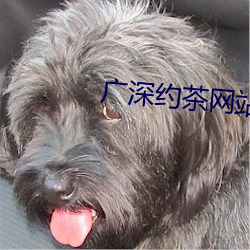 廣深約茶網站