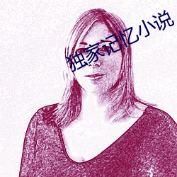 獨家記憶小說
